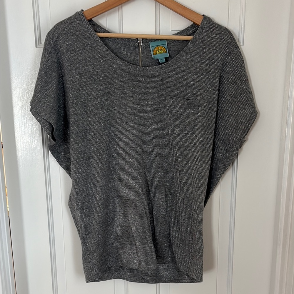 C&C California Gray & Silver Relaxed Boxy Short Sleeve Tee